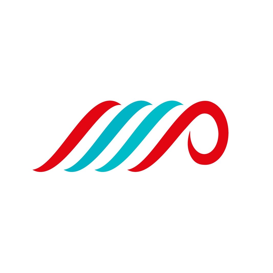 Flutter Developer
