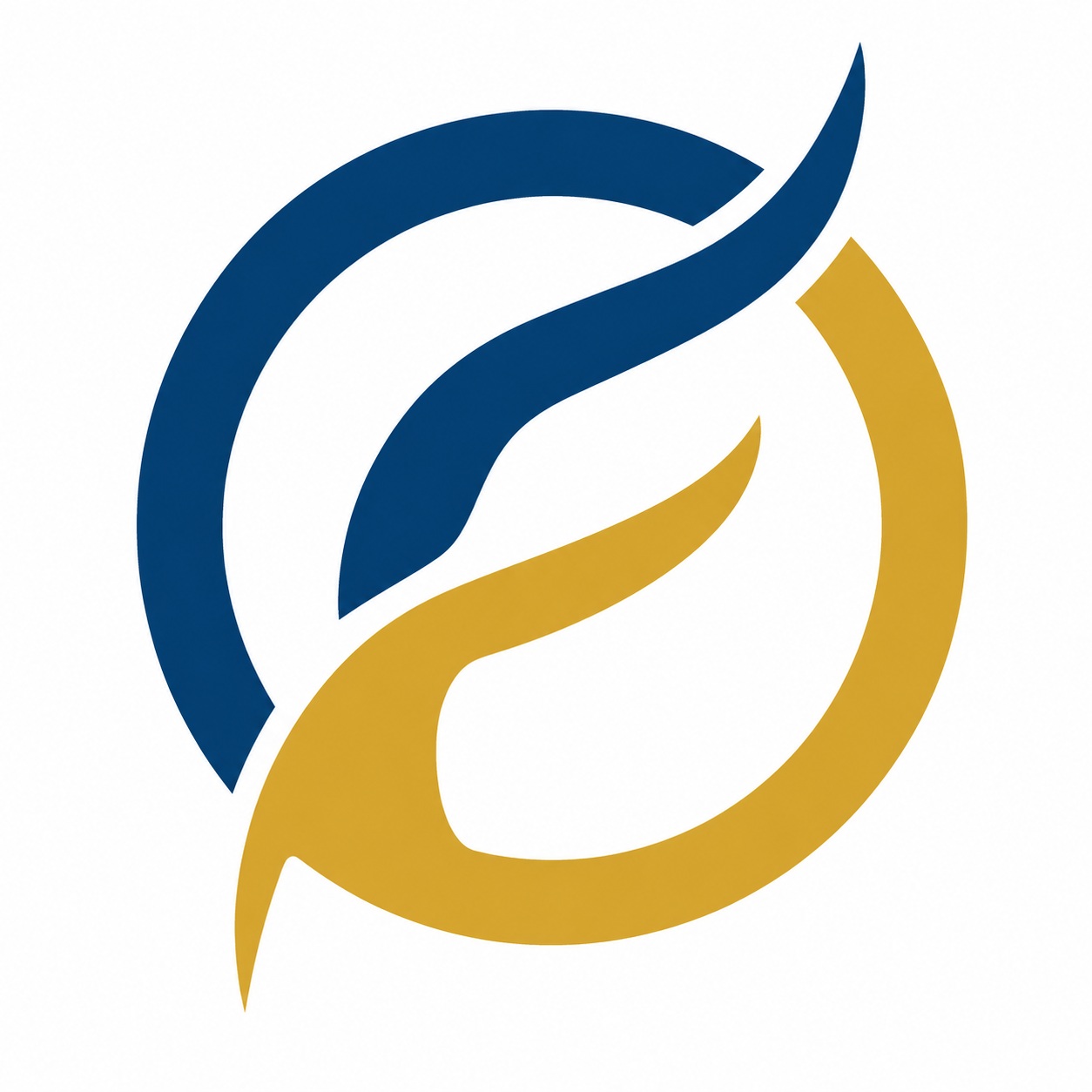Graphics Designer