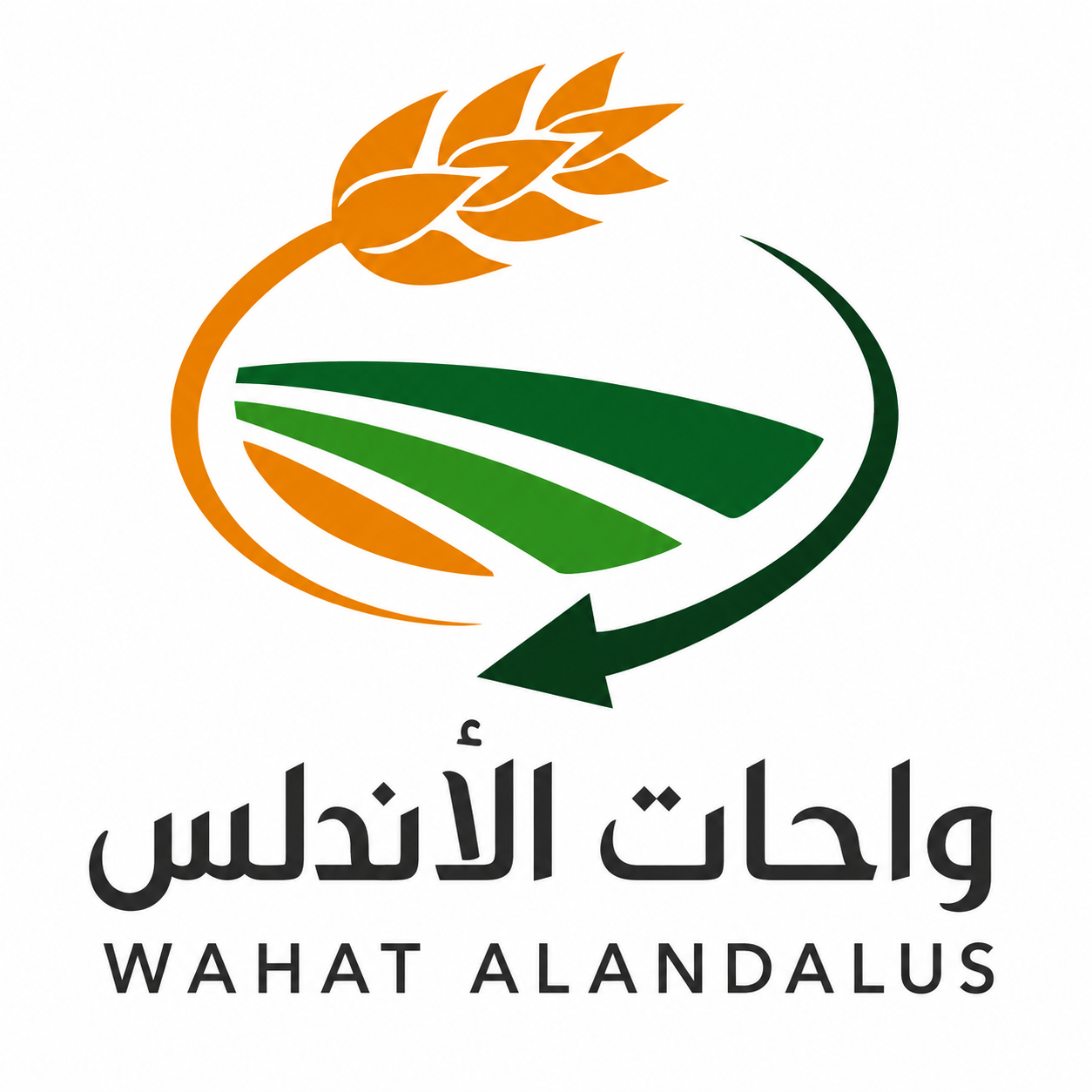 محاسب / محاسبة